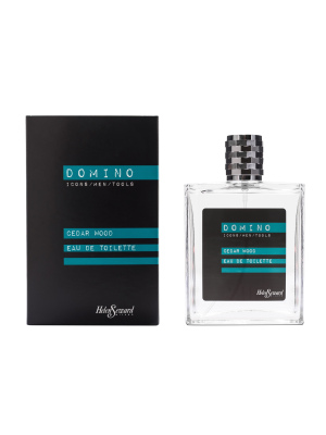 Мужская туалетная вода Domino 100мл.